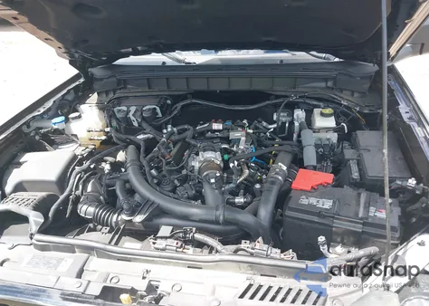 2023 Ford Bronco Wildtrak z USA, uszkodzony, nr VIN 1FMEE5DP9PLB43528